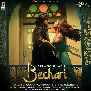 Bechari Song By Bechari Poster