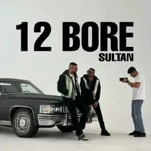 12 Bor Song By 12 Bor Poster