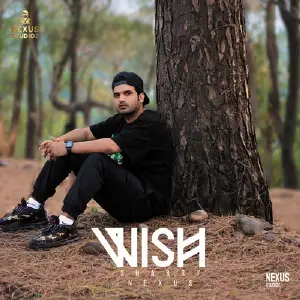 Wish Song By Wish Poster