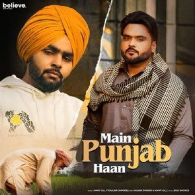 Main Punjab Haan Song By Main Punjab Haan Poster