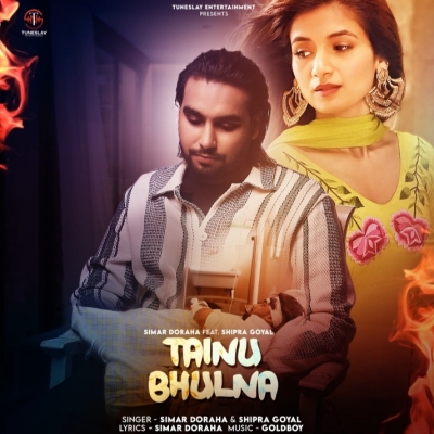 Tainu Bhulna Song By Tainu Bhulna Poster