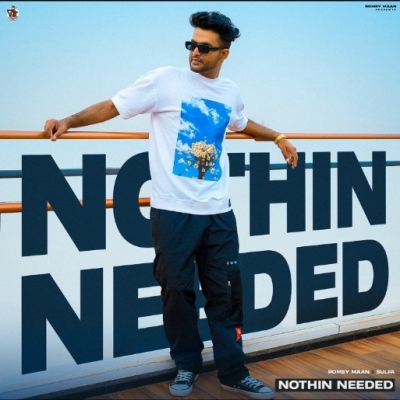 Nothin Needed Song By Nothin Needed Poster