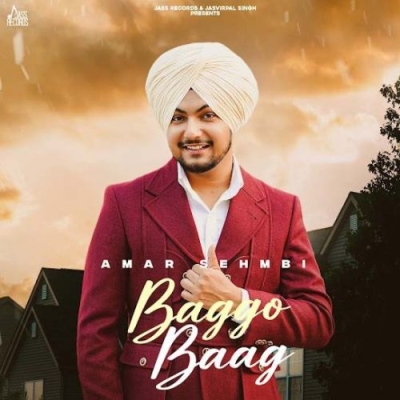 Baggo Baag Song By Baggo Baag Poster