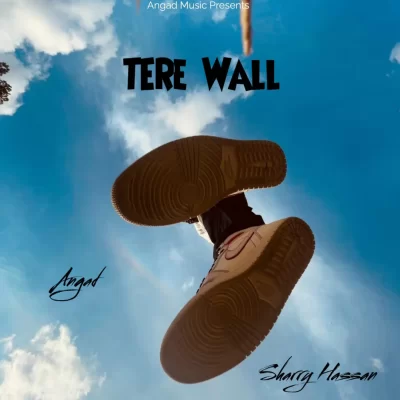 Tere Wall Song By Tere Wall Poster