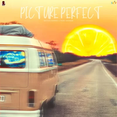 Picture Perfect Song By Picture Perfect Poster