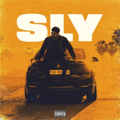 Sly Song By Sly Poster