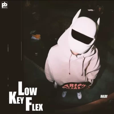 Lowkey Flex Song By Lowkey Flex Poster