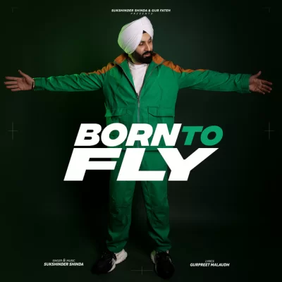 Born To Fly Song By Born To Fly Poster