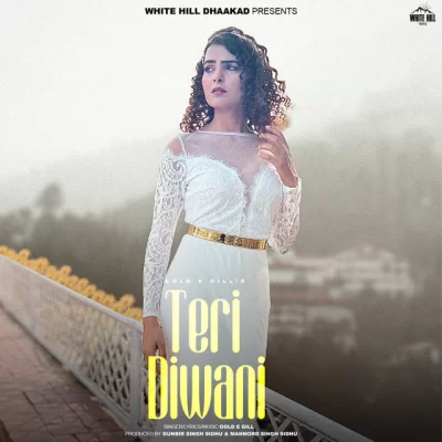 Teri Diwani Song By Teri Diwani Poster