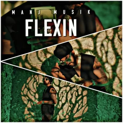 Flexin Song By Flexin Poster