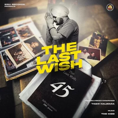The Last Wish Song By The Last Wish Poster