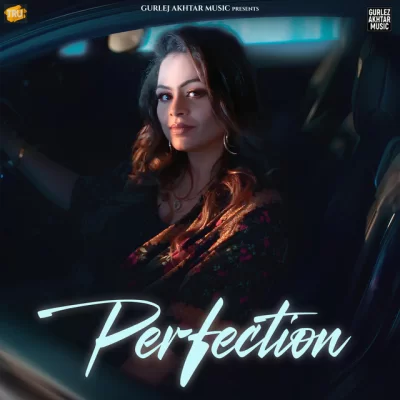 Perfection Song By Perfection Poster