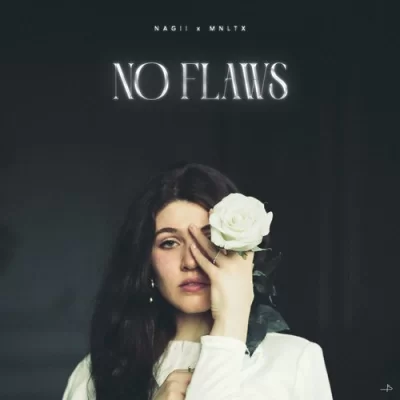 No Flaws Song By No Flaws Poster