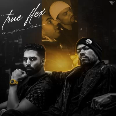 True Flex Song By True Flex Poster