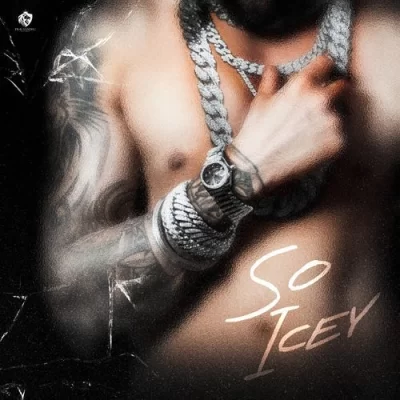 So Icey Song By So Icey Poster