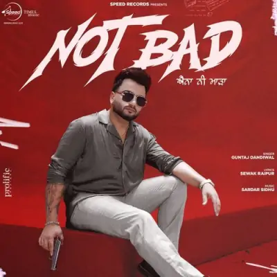 Not Bad Song By Not Bad Poster