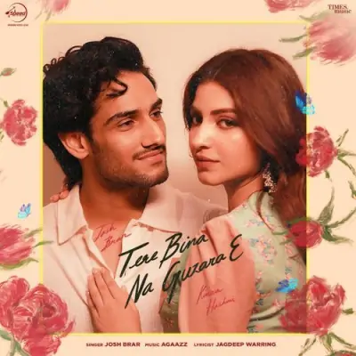 Tere Bina Na Guzara E Song By Tere Bina Na Guzara E Poster