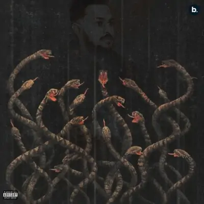 Snake Song By Snake Poster