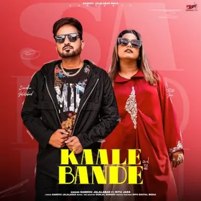 Kaale Bande Song By Kaale Bande Poster