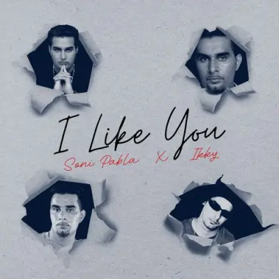 I Like You Song By I Like You Poster