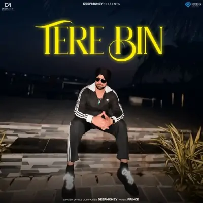 Tere Bin Song By Tere Bin Poster