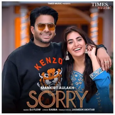 Sorry Song By Sorry Poster