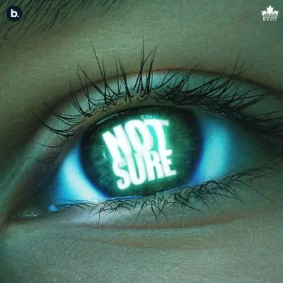 Not Sure Song By Not Sure Poster