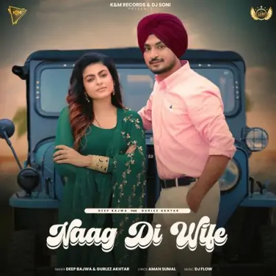 Naag Di Wife Song By Naag Di Wife Poster