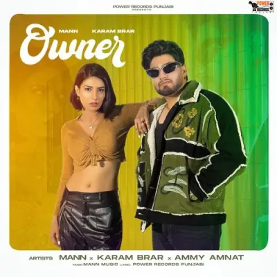Owner Song By Owner Poster