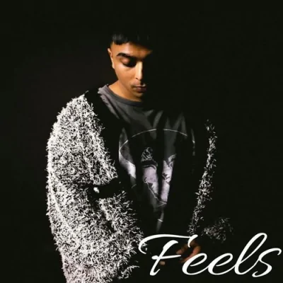 Feels Song By Feels Poster