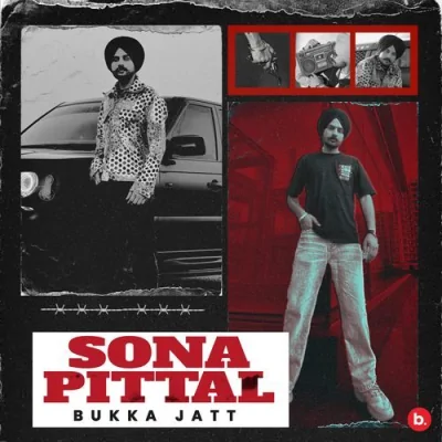 Sona Pittal Song By Sona Pittal Poster