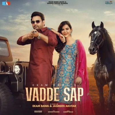 Vadde Sap Song By Vadde Sap Poster