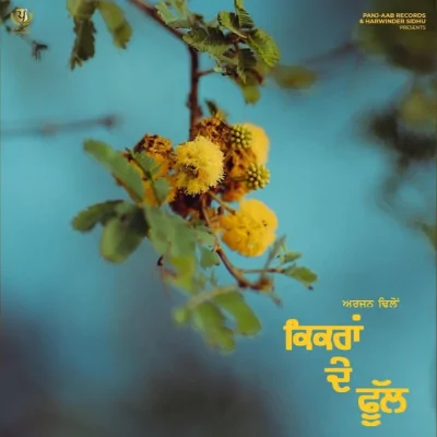 Kikran De Phull Song By Kikran De Phull Poster
