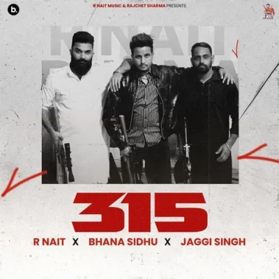 315 Song By 315 Poster