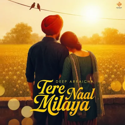 Tere Naal Milaya Song By Tere Naal Milaya Poster