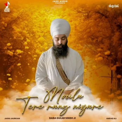 Moula Tere Rang Niyare Song By Moula Tere Rang Niyare Poster