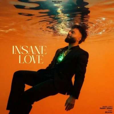 Insane Love Song By Insane Love Poster