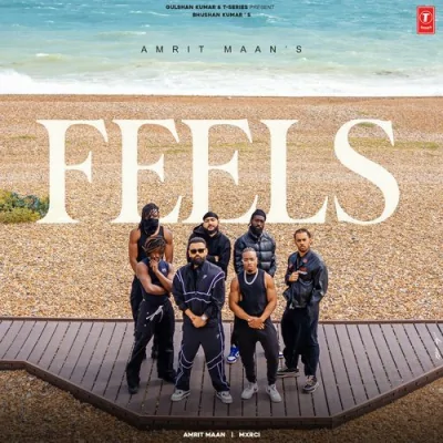 Feels Song By Feels Poster