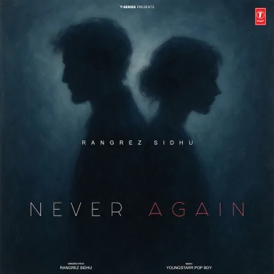 Never Again Song By Never Again Poster