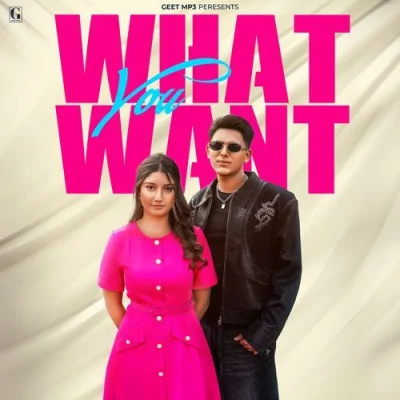 What You Want Song By What You Want Poster