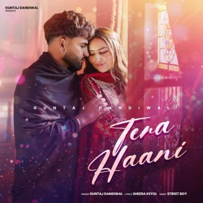 Tera Haani Song By Tera Haani Poster