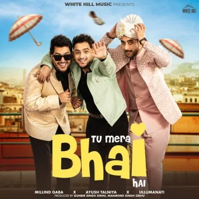 Tu Mera Bhai Hai Song By Tu Mera Bhai Hai Poster