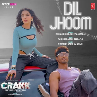 Dil Jhoom Song By Dil Jhoom Poster