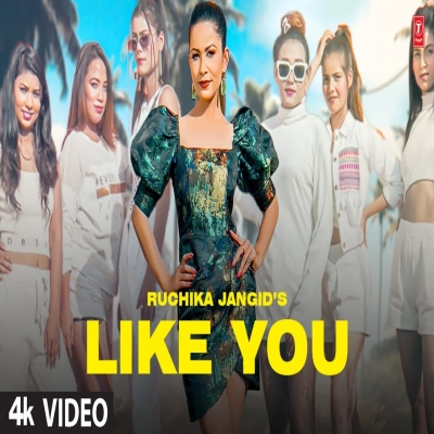 Like You Song By Like You Poster