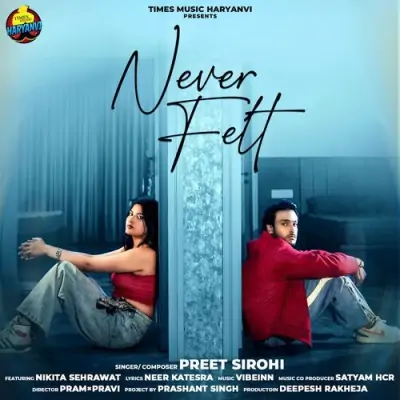 Never Felt Song By Never Felt Poster