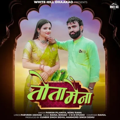 Tota Maina Song By Tota Maina Poster