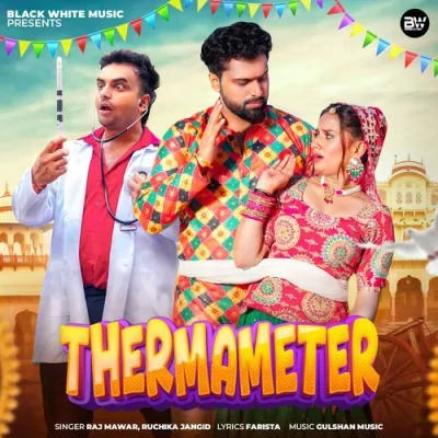 Thermameter Song By Thermameter Poster