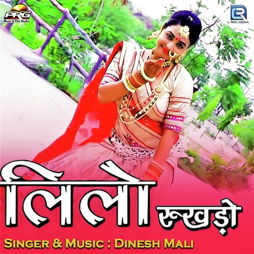 Leelo Rukdo Song By Leelo Rukdo Poster