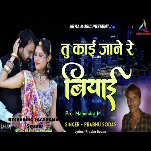 Tu Kai Jane Re Biyayi (Rajasthani) Song By Tu Kai Jane Re Biyayi (Rajasthani) Poster