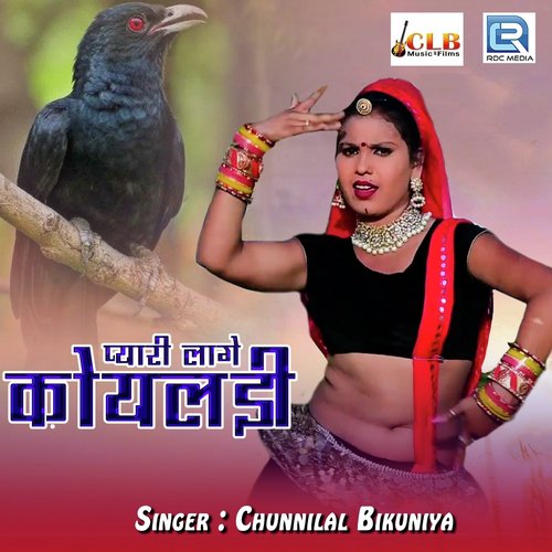 Pyari Lage Koyaldi Song By Pyari Lage Koyaldi Poster